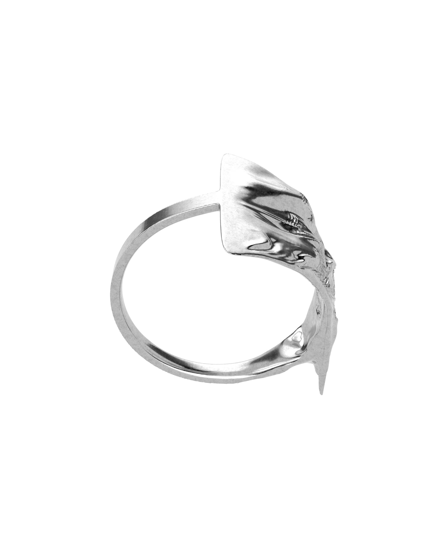 RAW Ring_03